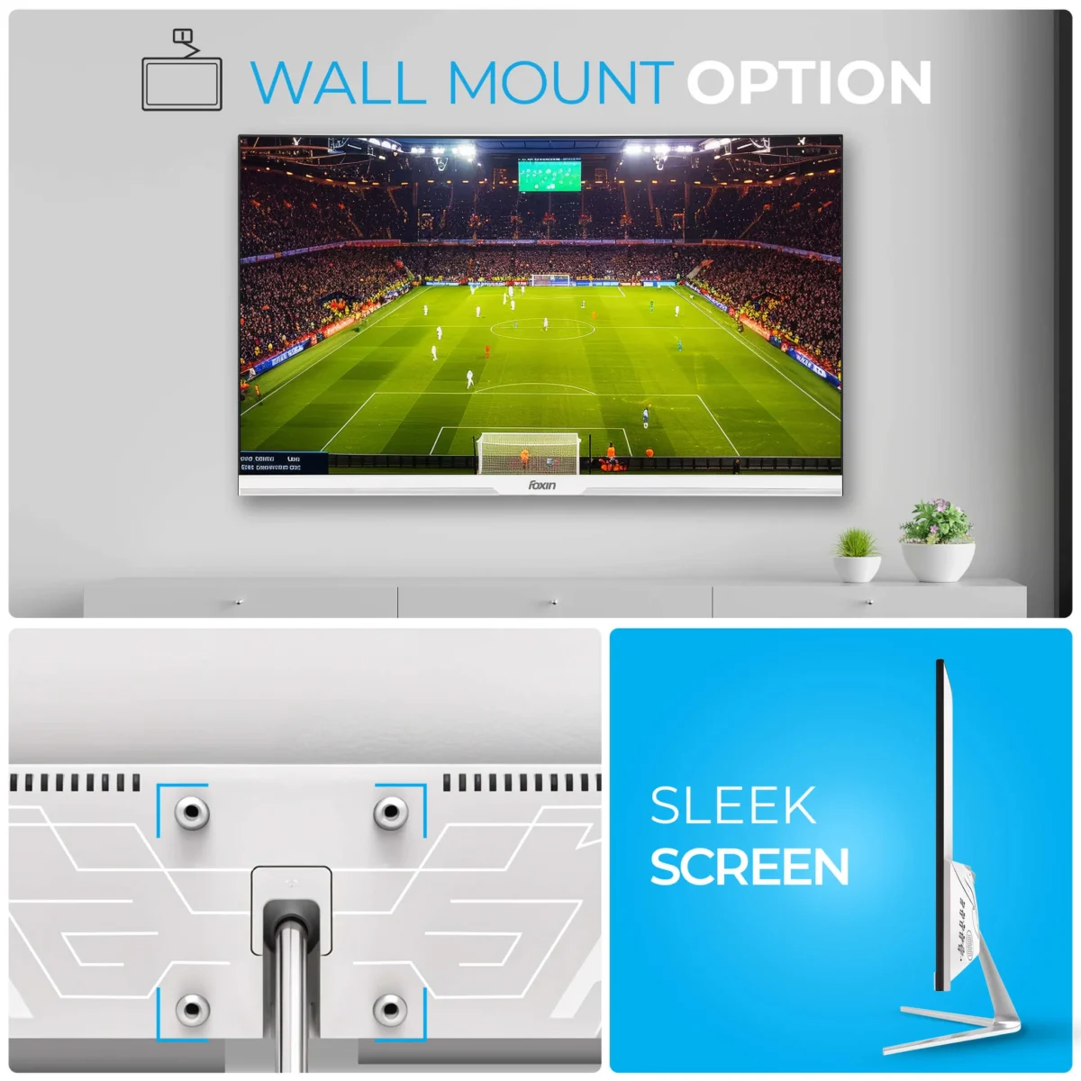 LED Monitor