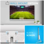LED Monitor