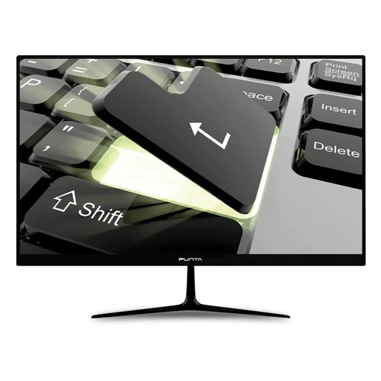 LED Monitor
