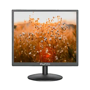 LED Monitor