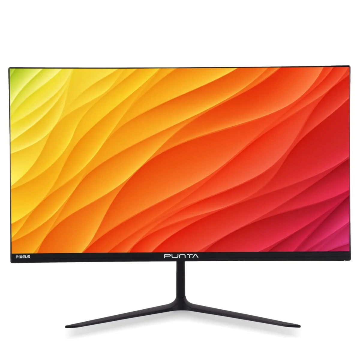 LED Monitor