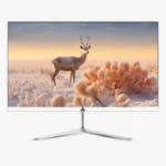 LED Monitor