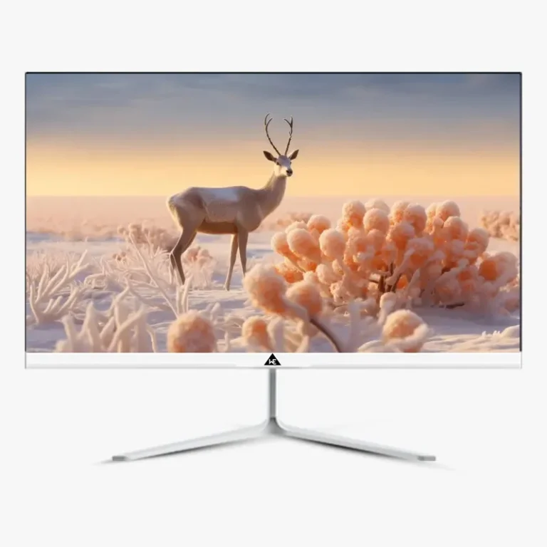 LED Monitor